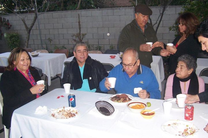 gato1.jpg