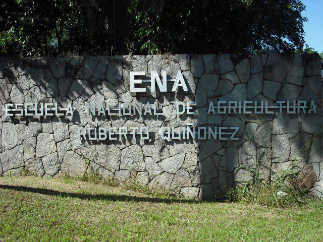 aaa_entrada_ena.jpg